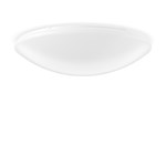 Plafond-/wandarmatuur RZB 311694.002.1